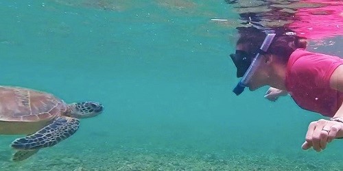 Snorkelling Noumea